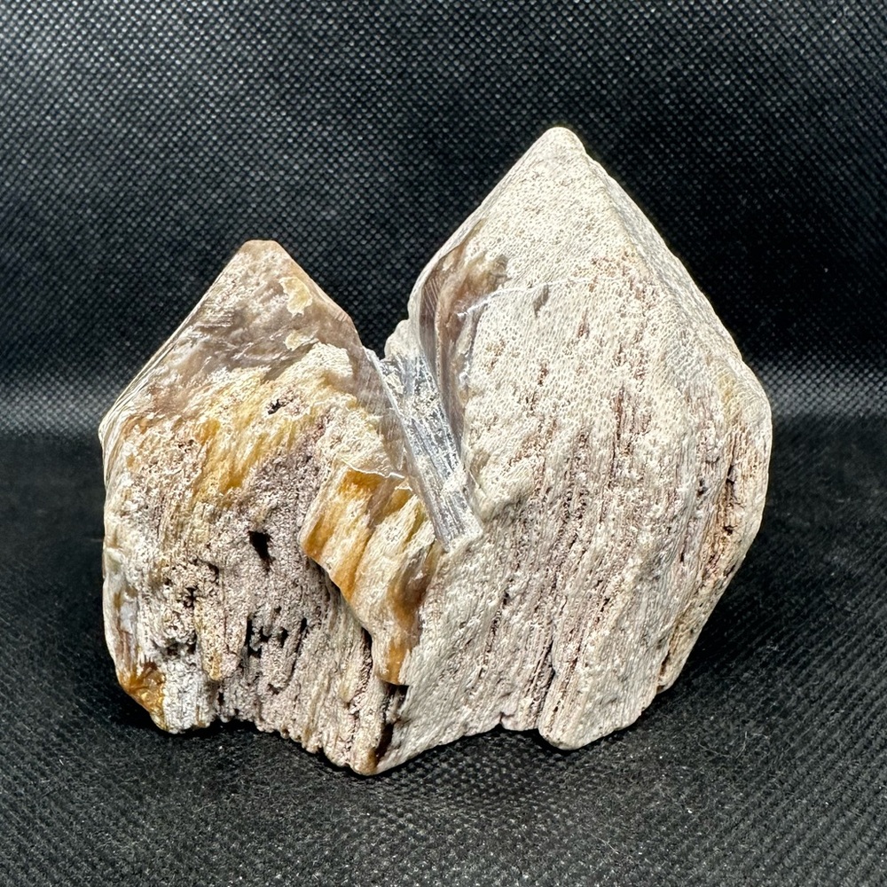 Petrified wood Freeform